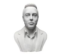 YANGJJ Contractor Elon Musk Bust Sculpture, Innovative, Visionary, Plaster Head Engineer Portrait Tool Office Drawing Tool Bookcase Decoration 10cm
