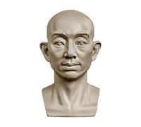 YANGJJ Head Models for Portrait Sketching, Resin Plaster Statues, Drawing Models for Art Students, Still Life Skulls, Small Resin Human Manikin Head Sculpture for Medical Drawing Teaching (Head)