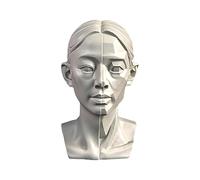 YANGJJ Woman Head Models for Portrait Sketching, Still Life Skulls Drawing Models, Resin Human Manikin Head Sculpture for Medical Drawing Teaching, Resin Plaster Statues 11.5cm (4.5in) (Head & Block)