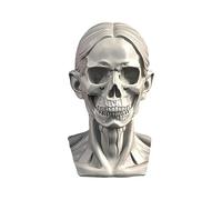 YANGJJ Woman Head Models for Portrait Sketching, Still Life Skulls Drawing Models, Resin Human Manikin Head Sculpture for Medical Drawing Teaching, Resin Plaster Statues 11.5cm (4.5in) (Skull)