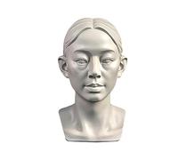 YANGJJ Woman Head Models for Portrait Sketching, Still Life Skulls Drawing Models, Resin Human Manikin Head Sculpture for Medical Drawing Teaching, Resin Plaster Statues 11.5cm (4.5in) (Head)