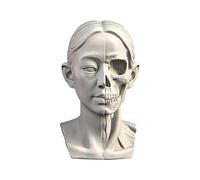 YANGJJ Woman Head Models for Portrait Sketching, Still Life Skulls Drawing Models, Resin Human Manikin Head Sculpture for Medical Drawing Teaching, Resin Plaster Statues 11.5cm (4.5in) (Head & Skull)
