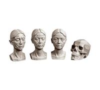 YANGJJ Woman Head Models for Portrait Sketching, Still Life Skulls Drawing Models, Resin Human Manikin Head Sculpture for Medical Drawing Teaching, Resin Plaster Statues 11.5cm (4.5in) (A Set (4Pcs))