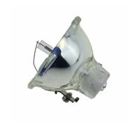 YanglishiOU EC.J2101.001 Projector lamp for Acer PD100 PD100D PD100P PD100S
