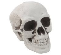 YANGLY Plastic Human Mini Skull Decor Skeleton for Head Halloween Coffee Bars Orna