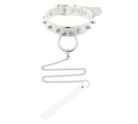 YangQian Choker Chain Leash Necklace for Women Intimate Collar with Leash Halloween Costume Choker Necklace Couple Things in Bed