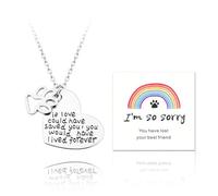 YangQian Sympathy Gift for Pet Owner Pet Memory Gifts for Dogs Cats Bereavement Gifts Paw Print Necklace Grieving Cat Dog Loss Gift, Zinc, No Gemstone