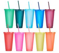 YANGUN 10 Pcs Reusable Plastic Cups, 24 oz Plastic Tumblers with Lid and Straw, Cold Cups, Reusable Plastic Tumblers for Adults and Kids Party and Beach, Pool Gatherings (10, Rainbow)