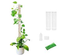 YANGWEN 2Pcs Stackable Moss Poles for Climbing Plants, 17CM Plastic Plant Support Stakes,Reusable Plant Support Sticks for Climbing Plants Indoor Support Extension, Train Plants to Grow Upwards