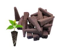 YANGWEN 30 x Growing Sponges for Hydroponics, Plant Growing Sponges for Indoor Hydroponics