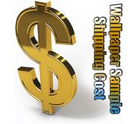 YangYun Home Decoration Wallpaper Sample Shipping Fees Link