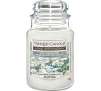 Yankee Candle 538g Jar - Wild Daisy Meadow Scented White Glass for Home Decor