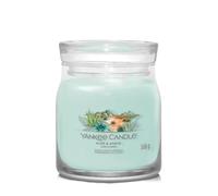 Yankee Candle Aloe & Agave Medium Jar