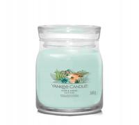 Yankee Candle Aloe & Agave Medium Jar