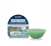 Yankee Candle Wax melt single aloe & agave Yankee Candle Multicolor