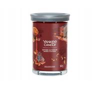 Yankee Candle Autumn Daydream Large Tumbler Jar Candle