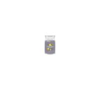 Yankee Candle Signature Large Jar Black Tea & Lemon 2 Wick Gift Present