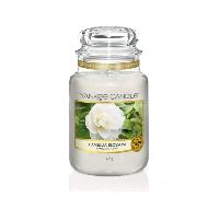 Yankee Candle Camellia Blossom Original Large Jar - Apple - One Size
