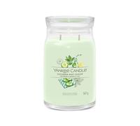 yankee candle cucumber mint cooler candle - Green OS
