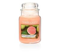 Yankee Candle Delicious Guava Jar Candle, Orange, Large