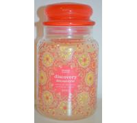 Yankee Candle DISCOVERY from 2021 623g Rare