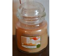 Yankee Candle FRESHLY TAPPED MAPLE, Woodland Road Trip Collection, 411g Rare