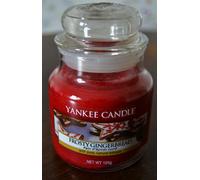 Yankee Candle FROSTY GINGERBREAD, 104g Rare