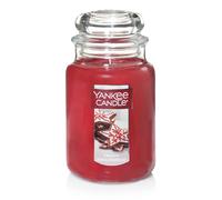 Yankee Candle Frosty Gingerbread Scented Classic 22oz Large Jar Single Wick Candle Over 110 Hours of Burn Time | Holiday Gifts for All