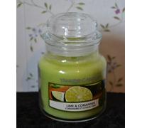 Yankee Candle Garden Hideaway Collection, Lime & Coriander 104g Rare