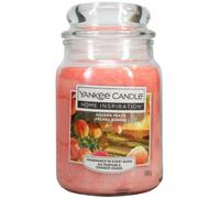Yankee Candle Golden Peach Scented Jar Candle 538g Home Fragrance