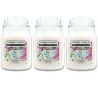 Yankee Candle Home Inspiration City Blooms 538g X 3