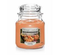 Yankee Candle Home Inspiration Medium Jar Candle - Pumpkin Harvest