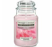 Yankee Candle Large Glass Jar 538g 19oz Home Inspiration Choice of 22 Fragrances