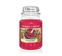 Yankee Candle Housewarmer Large Jars - Multiple Scents - DISCONTINUED & RARE