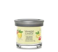 Yankee Candle Iced Berry Lemonade Small Jar Candle