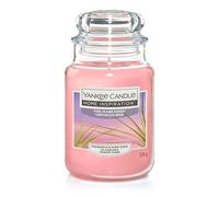 Yankee Candle Island Sunset Tropical Fruits and Citrus Paradise Scent, Soothing Breeze of Island Sunset - Large