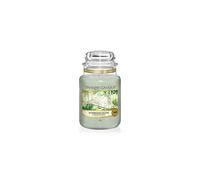 Yankee Candle Large Jar Candle | Afternoon Escape Scented Candle | Up to 150 Hours Burn Time | Garden Hideaway Collection