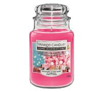 Yankee Candle Large Jar Pink Pine 538g