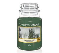 Yankee Candle Large Jar Scented Candle, Evergreen Mist, Alpine Christmas Collection, Up to 150 Hours Burn Time
