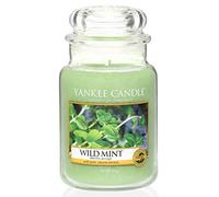 Yankee Candle Large Jar Scented Candle, Wild Mint, up to 150 Hour Burn Time