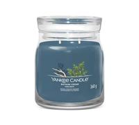 yankee candle medium Bayside Cedar candle - Blue OS
