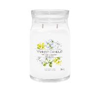 Yankee Signature Large Scented Candle - Midnight Jasmine