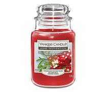 Yankee Candle Mistletoe Charm Large Jar 538g