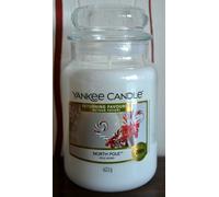Yankee Candle NORTH POLE , 623g, - Returning Favourite - , Rare