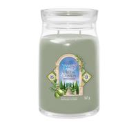 Yankee Candle Olive & Cypress Signature Large Jar Candle, 567g