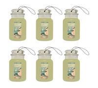 Yankee Candle Paper Car Jar, Sage & Citrus (Pack of 6)
