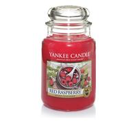 Yankee Candle Red Raspberry Jar Candle, Large - Red
