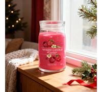 Yankee Candle Red Raspberry Large Glass Jar 2 Wick Candle 538g 19oz