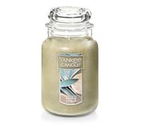 Yankee Candle Sage & Citrus Scented, 22oz Single Wick Candle, Over 110 Hours of Burn Time, Ideal for Home Decor and Gifts, Paraffin Wax, Ivory, Classic Large Jar