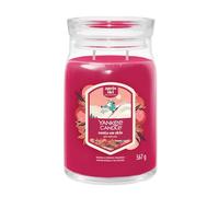 Yankee Candle Signature Large Scented Jar Candle - Santa On Skis Festive Scent